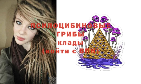 мдпв Абдулино