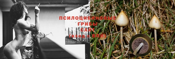 экстази Абаза