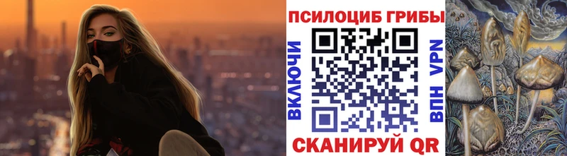 Псилоцибиновые грибы мицелий  что такое   Псков 