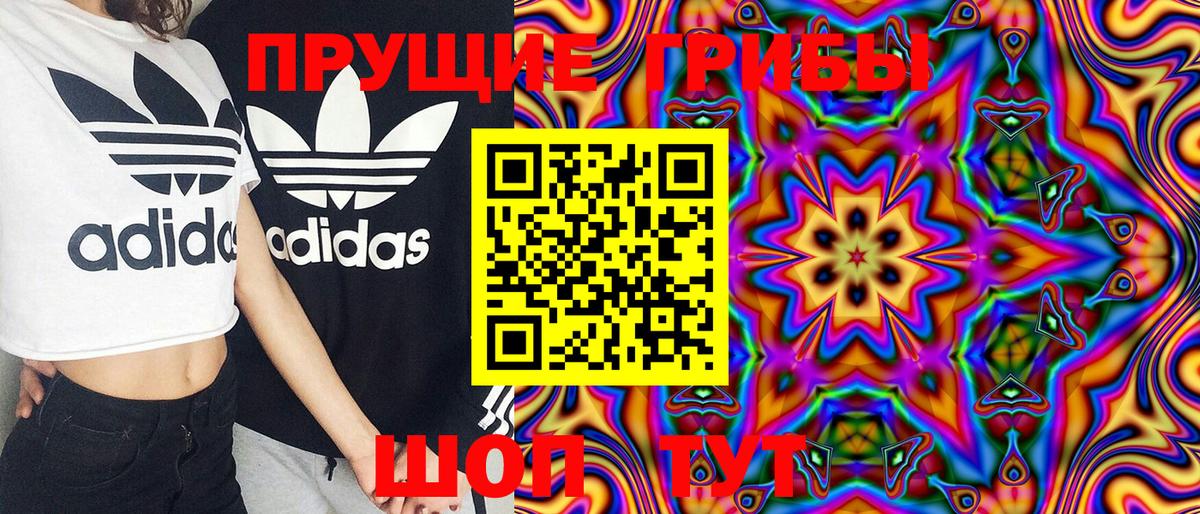 Псков  даркнет сайт  Вход с VPN  Псилоцибиновые грибы Magic Shrooms 